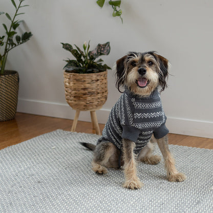 Winter Wonder Dog Jumper