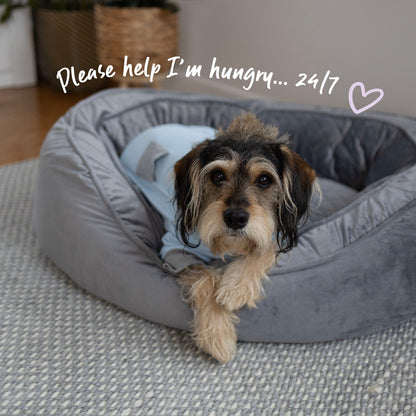 Long John Dog Pyjamas - Blue