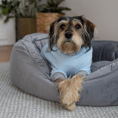 Long John Dog Pyjamas - Blue