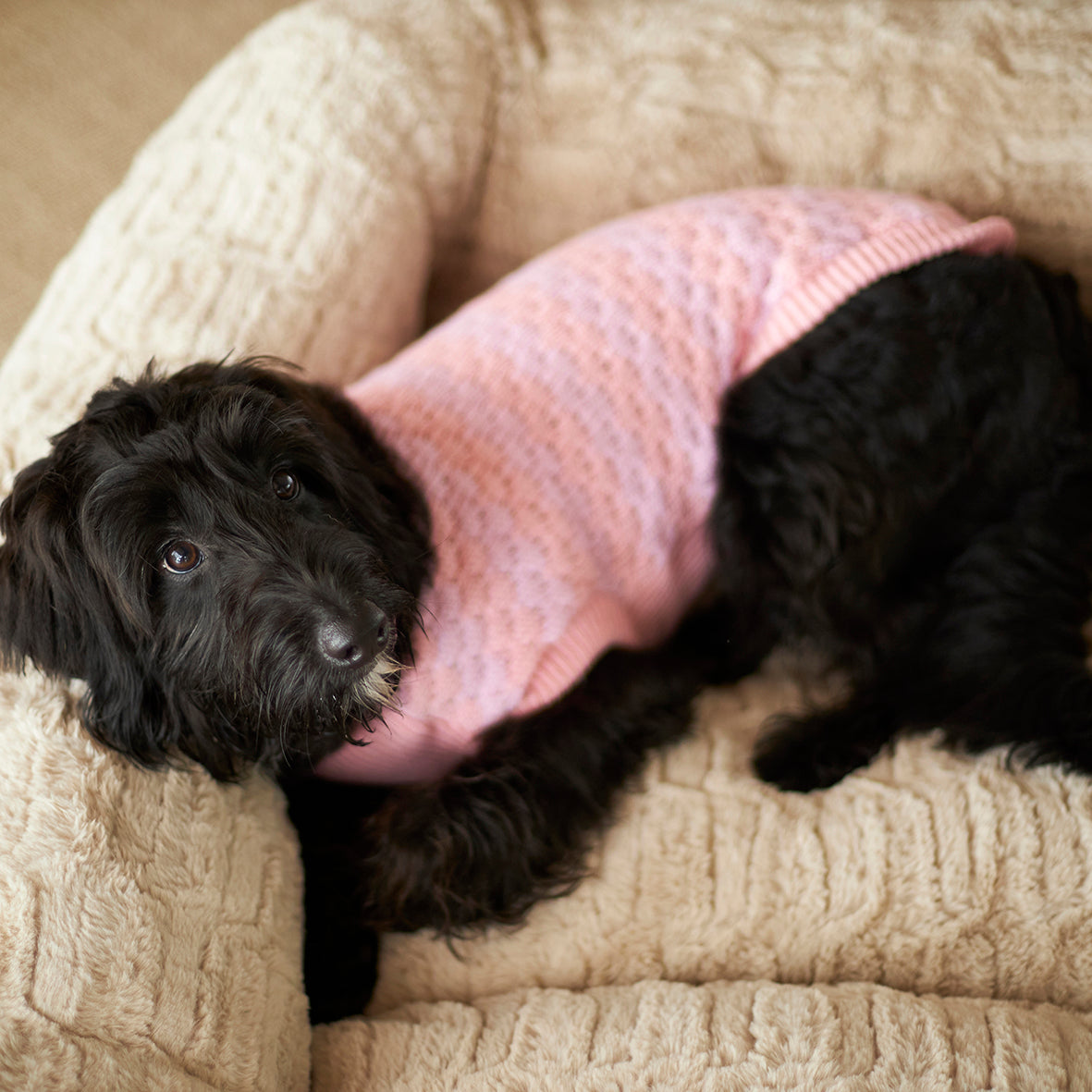 Pink Posy Dog Jumper