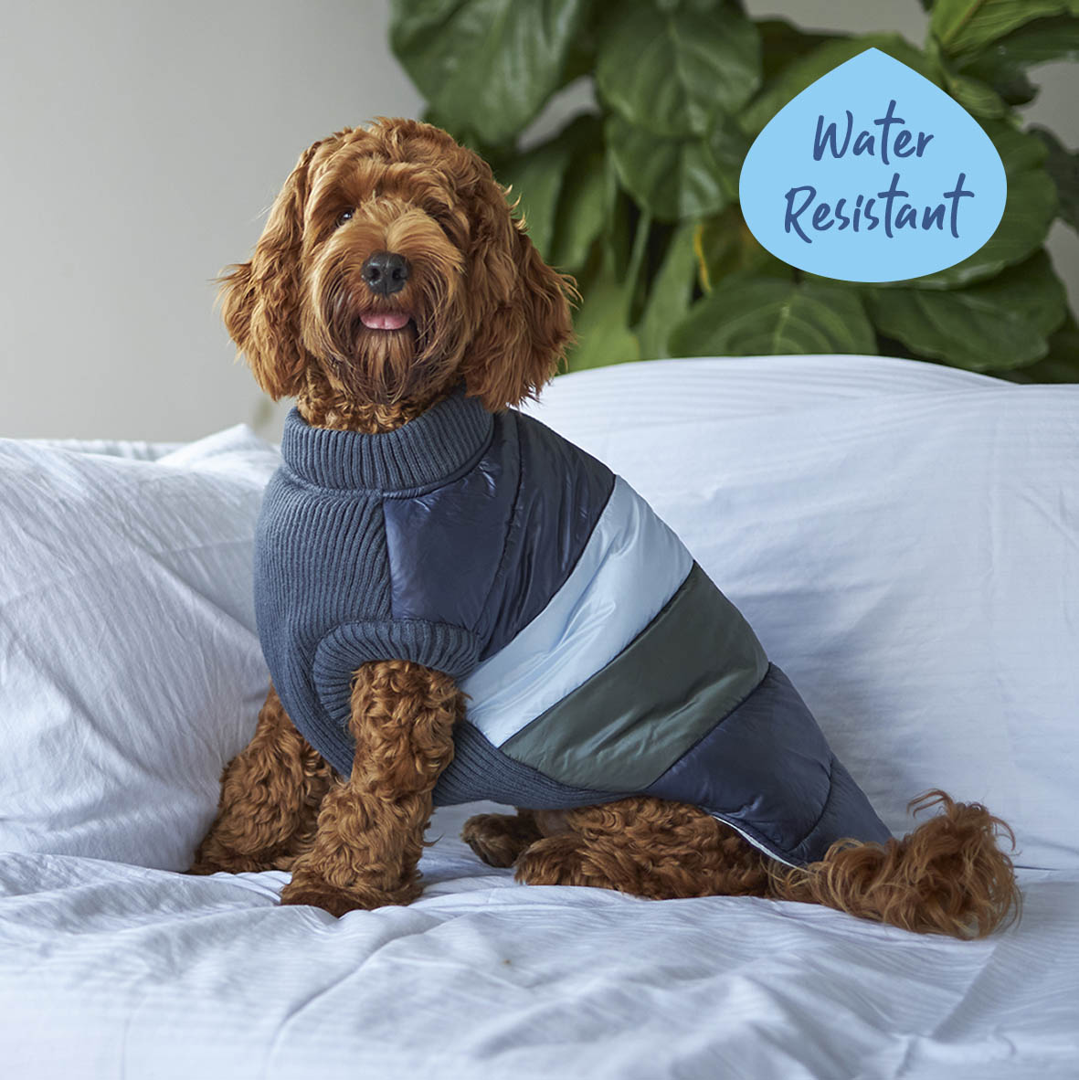 Vovo Dog Puffer Jacket - Seabreeze
