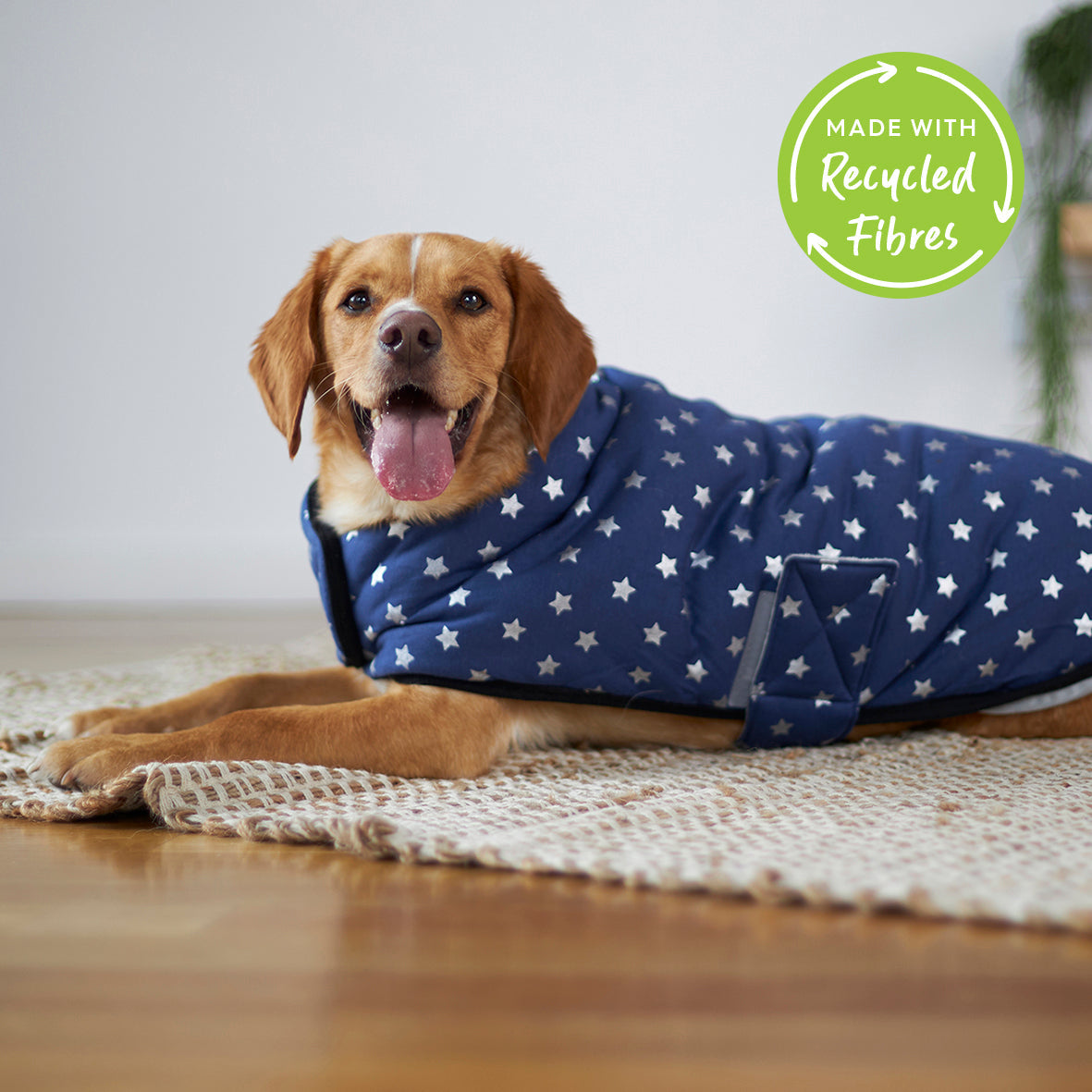 Starbright Dog Snuggie