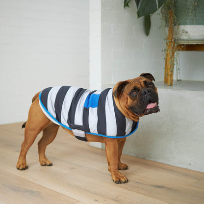 Chunky Stripe Dog Snuggie