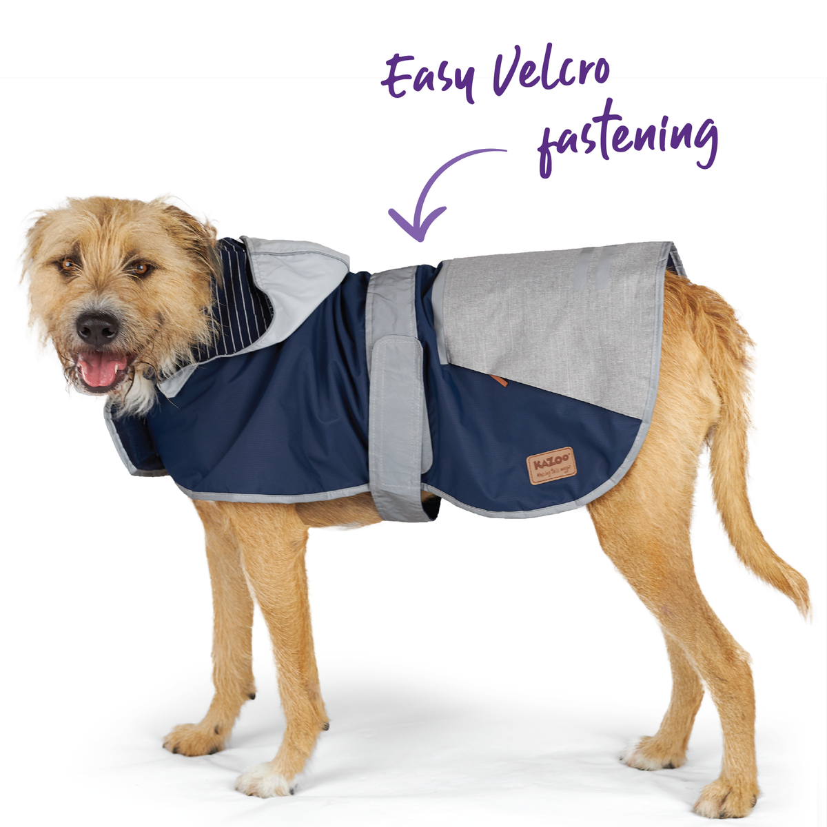 Cosy Dog Raincoat - Lagoon