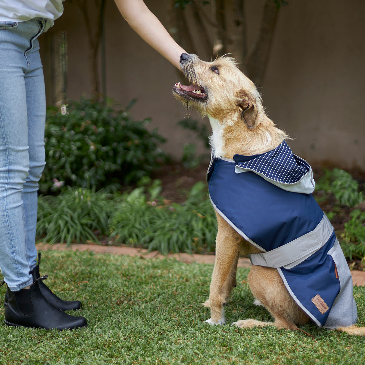 Cosy Dog Raincoat - Lagoon