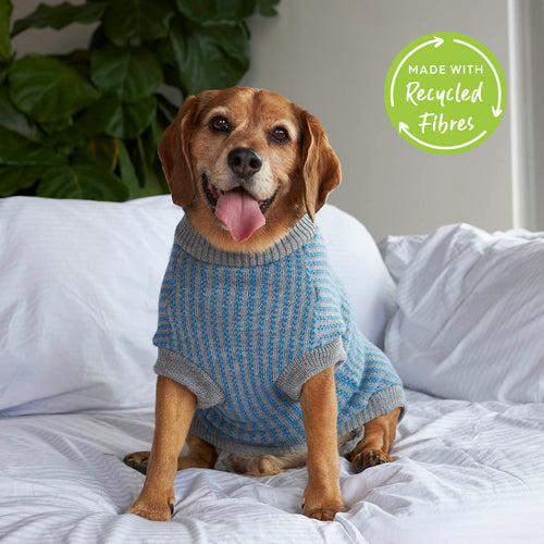 Blue Button Up Knit Dog Jumper